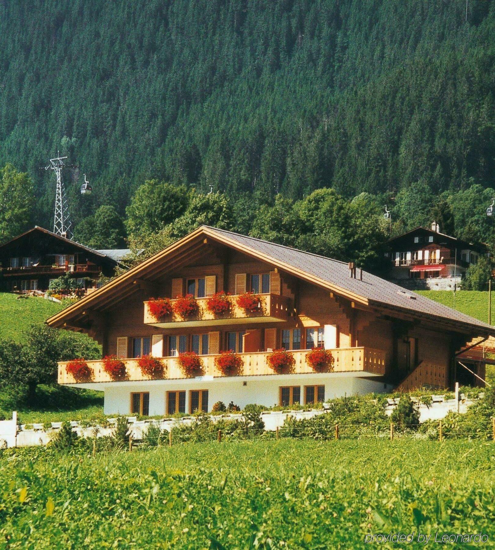 Apartments Kirchbühl Grindelwald Exterior foto